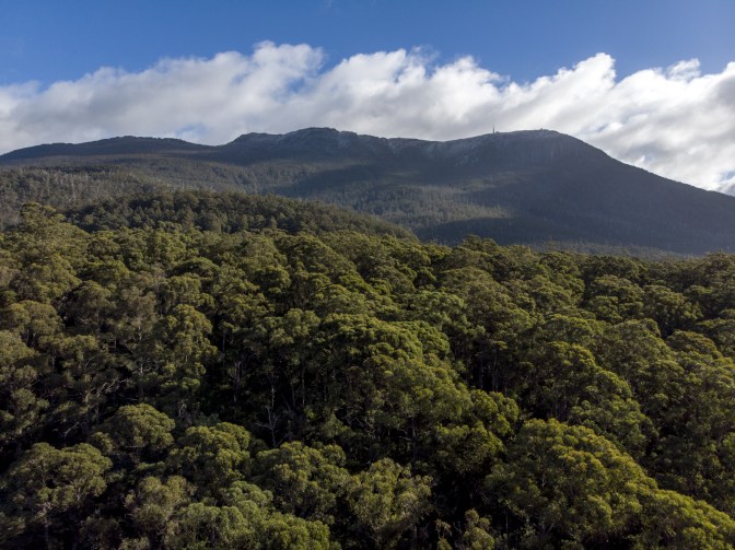 Tuning in Mavic Air camera settings - no filter.