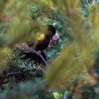 Expect the unexpected