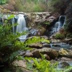 Walk to Hall's Falls, NW Tasmania