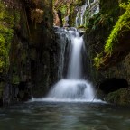 Escaping the madness …