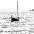 Misty morning minimalist