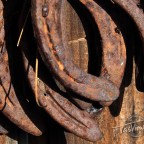 Feeling a little rusty