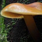 It’s dark in the valley