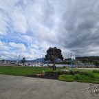 First Galaxy S20 shootout