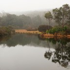 Enchanted Forest Walk