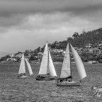 Sails on the Derwent