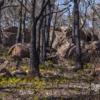 From death, comes life.