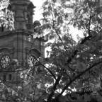 Mystery in mono part 1