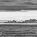 Weeds – nuts on The Nut