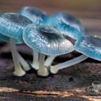 and into the night …