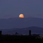 Good Moon Rising