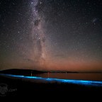 Bioluminescent Beach